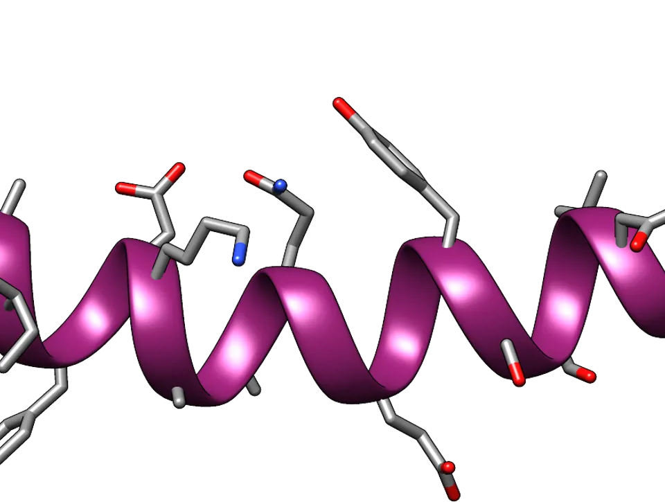 Peptide