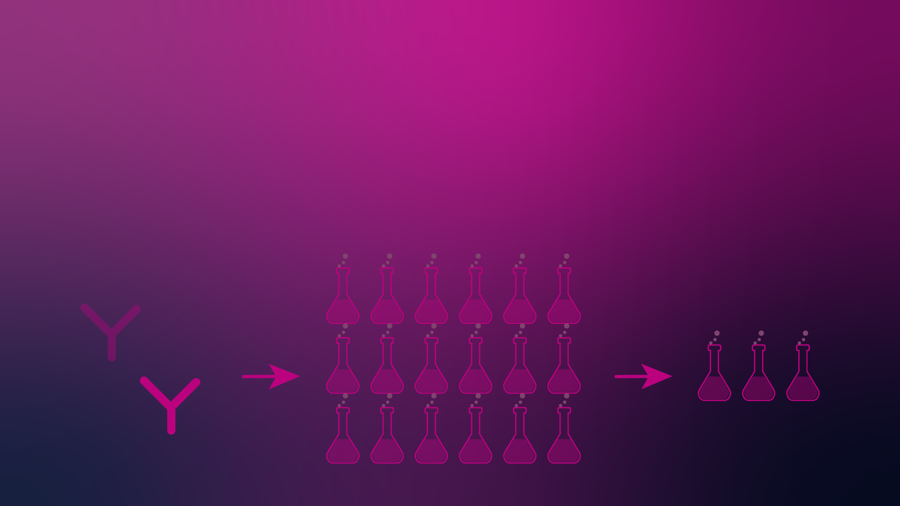 Formulation and Stability Prediction